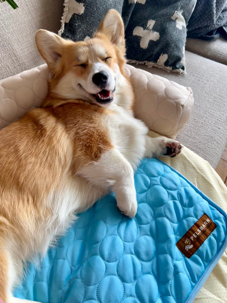 Cookie uses size M