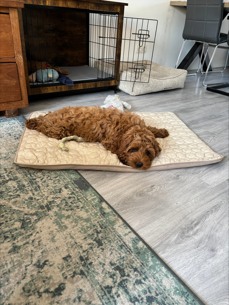 Cooper uses size M