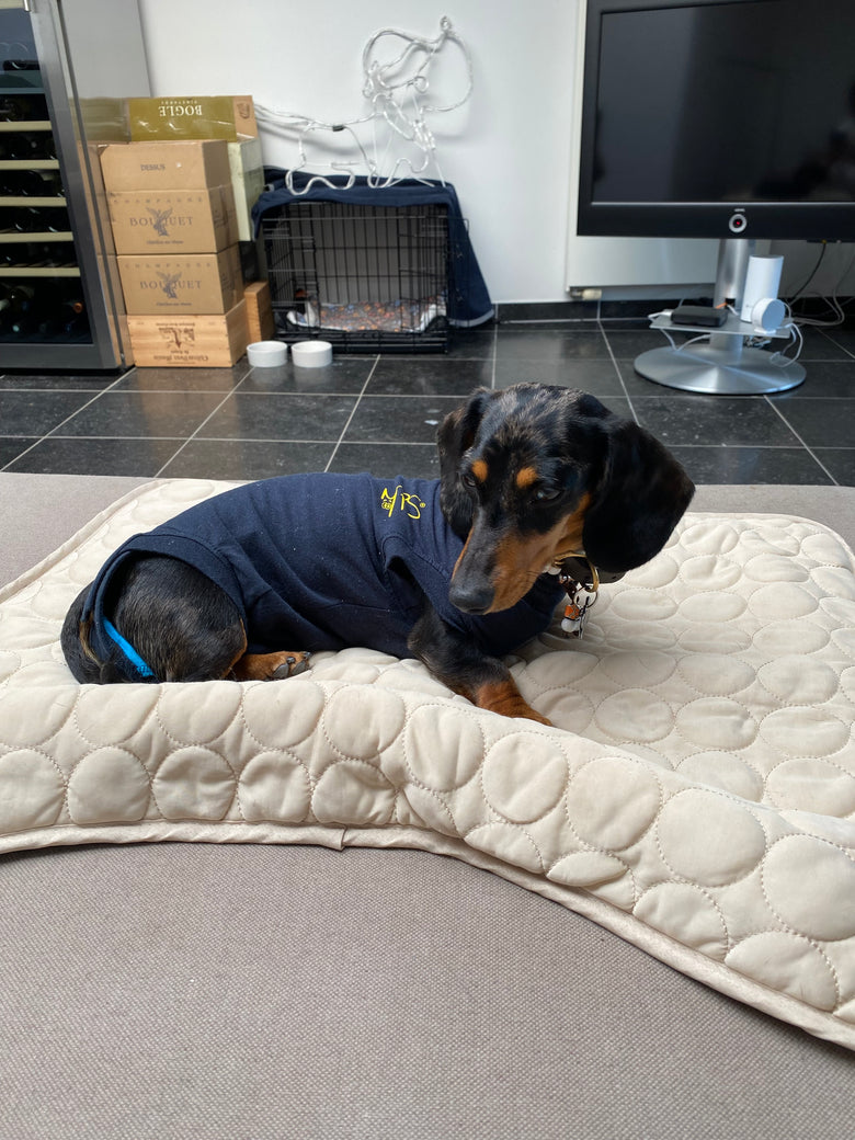 Bella uses size S