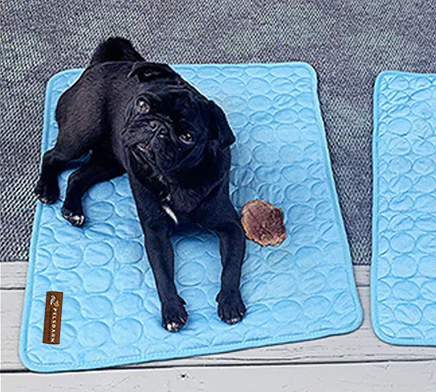 Customer dog sitting on a Pelsbarn cooling mat